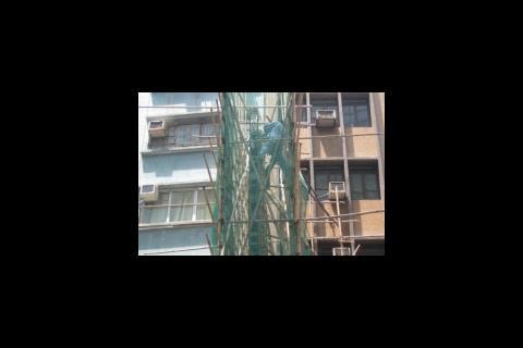 Web of scaffolding